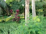IMG-20250928-WA0005