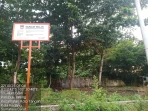IMG-20251114-WA0096