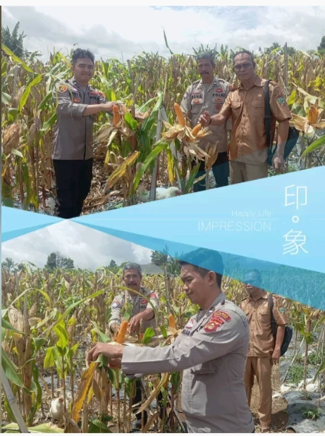 Screenshot_2026-01-07-11-51-37-06_c2c39eb77ce131054e1b7fd47705651e