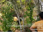 IMG-20260916-WA0030