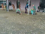 IMG-20261009-WA0050