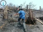 IMG-20261017-WA0050