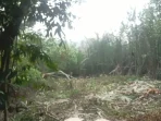 IMG-20261018-WA0002